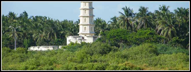 Tamil Nadu landscape